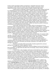 Visuotinės literatūros pasiruošimas egzaminui 10 puslapis