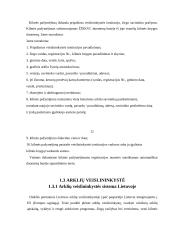 Arklių kilmė, reikšmė ir panaudojimas Lietuvoje 12 puslapis