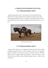 Arklių kilmė, reikšmė ir panaudojimas Lietuvoje 19 puslapis