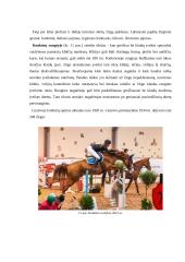 Arklių kilmė, reikšmė ir panaudojimas Lietuvoje 20 puslapis