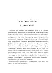 Arklių kilmė, reikšmė ir panaudojimas Lietuvoje 4 puslapis