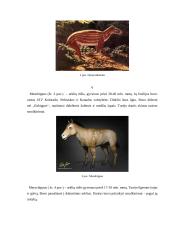 Arklių kilmė, reikšmė ir panaudojimas Lietuvoje 6 puslapis