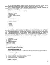 Visuotinės kokybės vadybos pasiruošimas egzaminui 2 puslapis