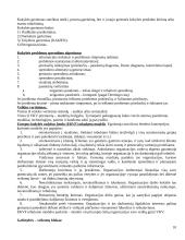 Visuotinės kokybės vadybos pasiruošimas egzaminui 10 puslapis