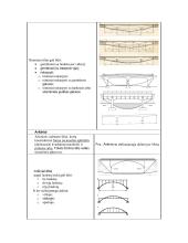 Inžinerinių statinių egzamino konspektas 2 puslapis