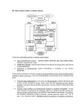 Inžinerinių statinių egzamino konspektas 16 puslapis