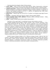 Pagrindiniai vitaminai 2 puslapis