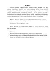 Idealaus oratoriaus analizė 2 puslapis