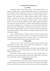 Idealaus oratoriaus analizė 3 puslapis