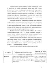 Vitaminai mityboje 2 puslapis