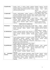 Vitaminai mityboje 3 puslapis