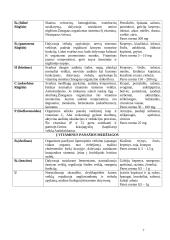 Vitaminai mityboje 4 puslapis