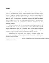 Verslo planas (Verslumo pagrindai) 2 puslapis