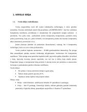 Verslo planas (Verslumo pagrindai) 3 puslapis