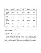 Verslo planas (Verslumo pagrindai) 5 puslapis