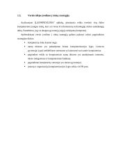 Verslo planas (Verslumo pagrindai) 6 puslapis