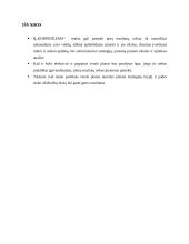 Verslo planas (Verslumo pagrindai) 7 puslapis