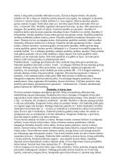 Gyvūnų klasės 2 puslapis