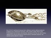 Raketų istorijos pristatymas 9 puslapis