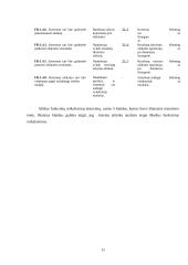 Testavimo procesas 10 puslapis