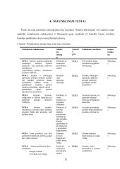 Testavimo procesas 11 puslapis