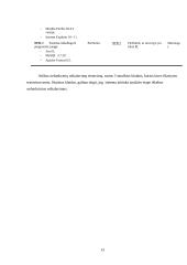 Testavimo procesas 12 puslapis