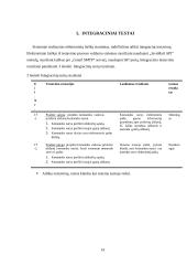 Testavimo procesas 13 puslapis