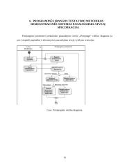 Testavimo procesas 14 puslapis