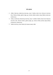 Testavimo procesas 16 puslapis