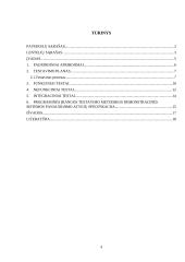 Testavimo procesas 3 puslapis