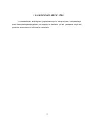 Testavimo procesas 5 puslapis