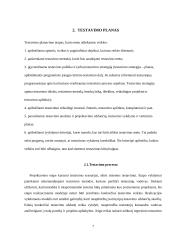 Testavimo procesas 6 puslapis