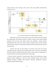 Testavimo procesas 7 puslapis