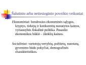 Organizacijos ir jų aplinka 13 puslapis