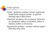 Organizacijos ir jų aplinka 15 puslapis