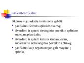 Organizacijos ir jų aplinka 2 puslapis