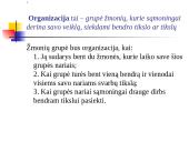 Organizacijos ir jų aplinka 3 puslapis