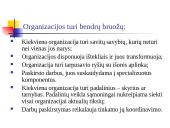 Organizacijos ir jų aplinka 4 puslapis