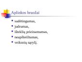 Organizacijos ir jų aplinka 8 puslapis