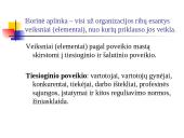 Organizacijos ir jų aplinka 9 puslapis