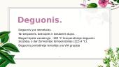 Deguonis 3 puslapis