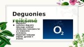 Deguonis 5 puslapis