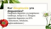 Deguonis 8 puslapis