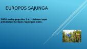 Europos sąjunga (pristatymas) 7 puslapis