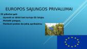 Europos sąjunga (pristatymas) 8 puslapis