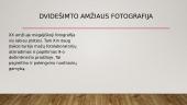 Fotografija skaidrės 5 puslapis