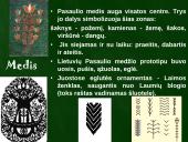 Baltų ženklai 19 puslapis