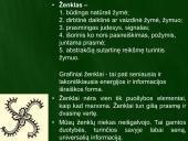 Baltų ženklai 2 puslapis