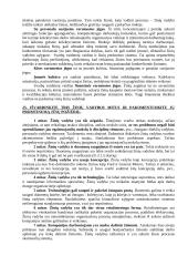 Žinių bei informacijos vadyba 13 puslapis