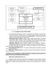Žinių bei informacijos vadyba 15 puslapis